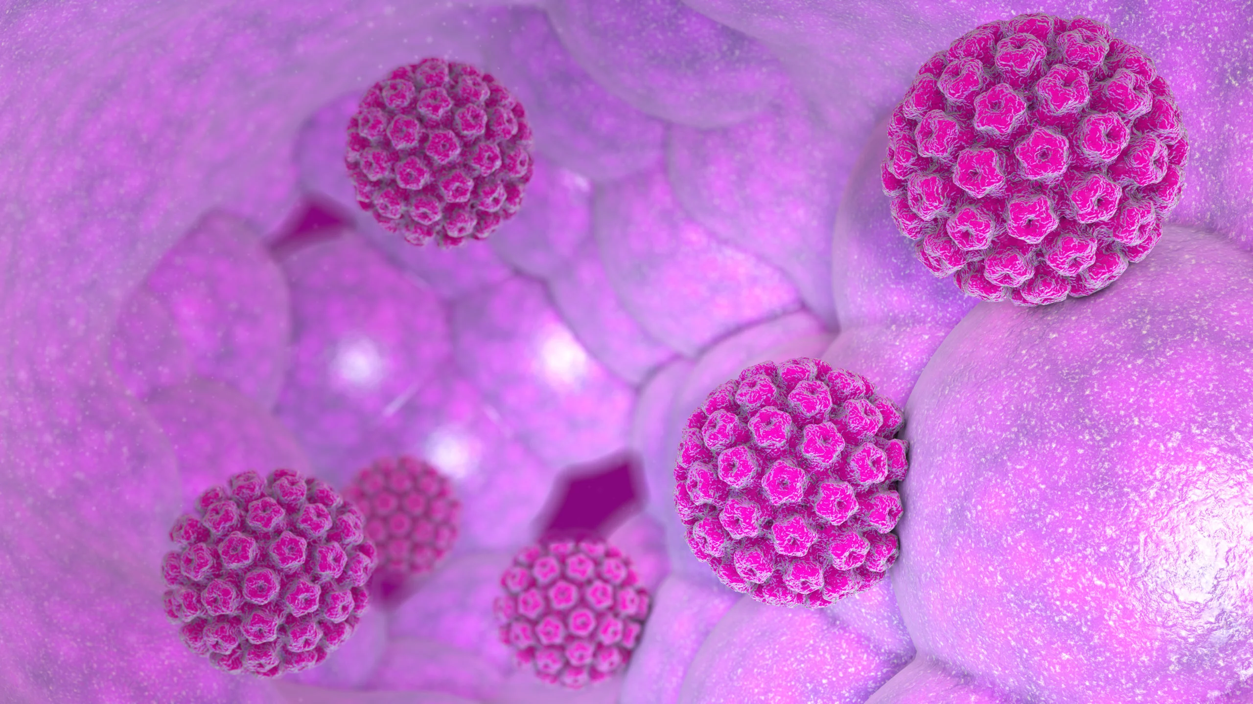 HPV : les eaux usées pourraient surveiller les infections à l’échelle d’une ville