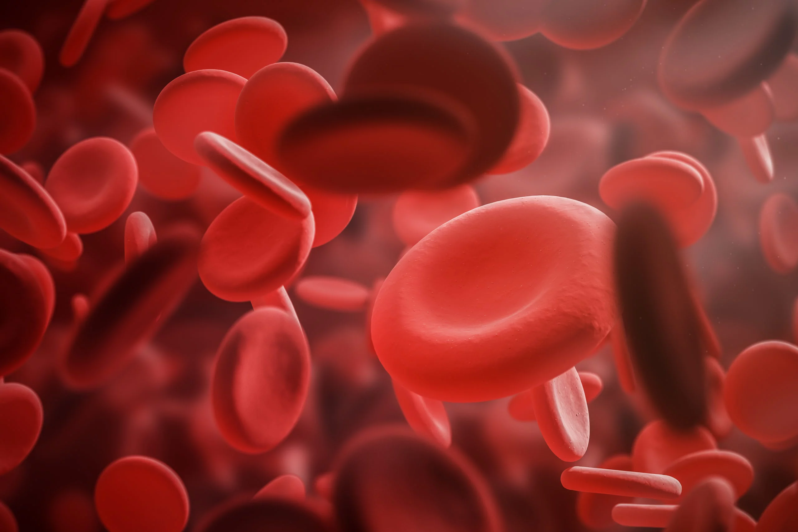 Après angioplastie, une double antiagrégation plus courte pour limiter le risque hémorragique ?