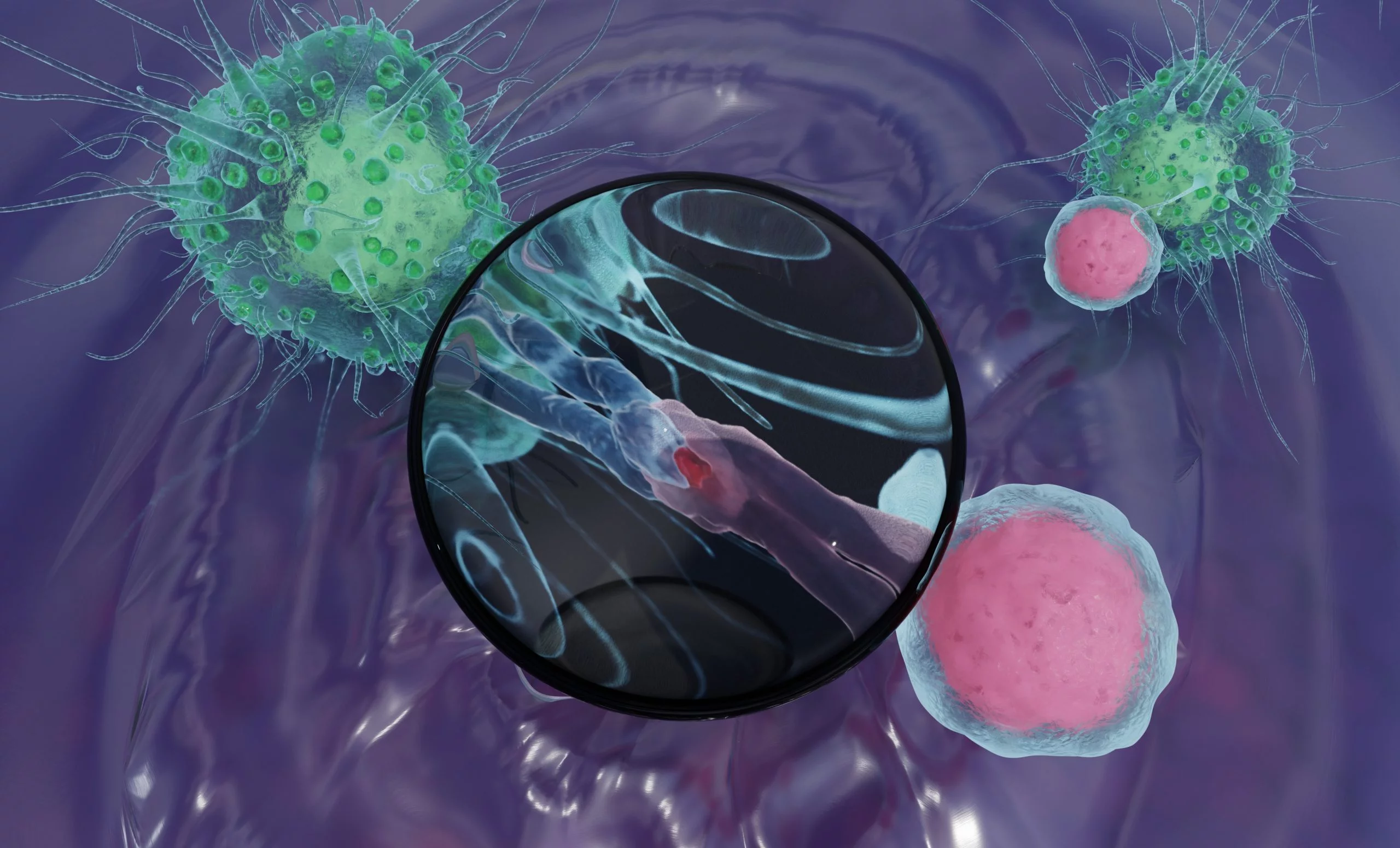 Immunothérapie anticancéreuse : pas d’augmentation détectable de l’inflammation artérielle