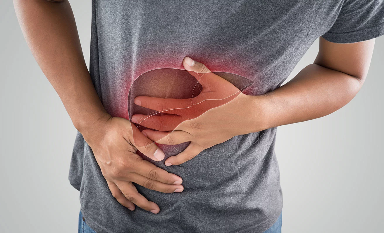 Détox du foie : entre mythe et véritables gestes de prévention