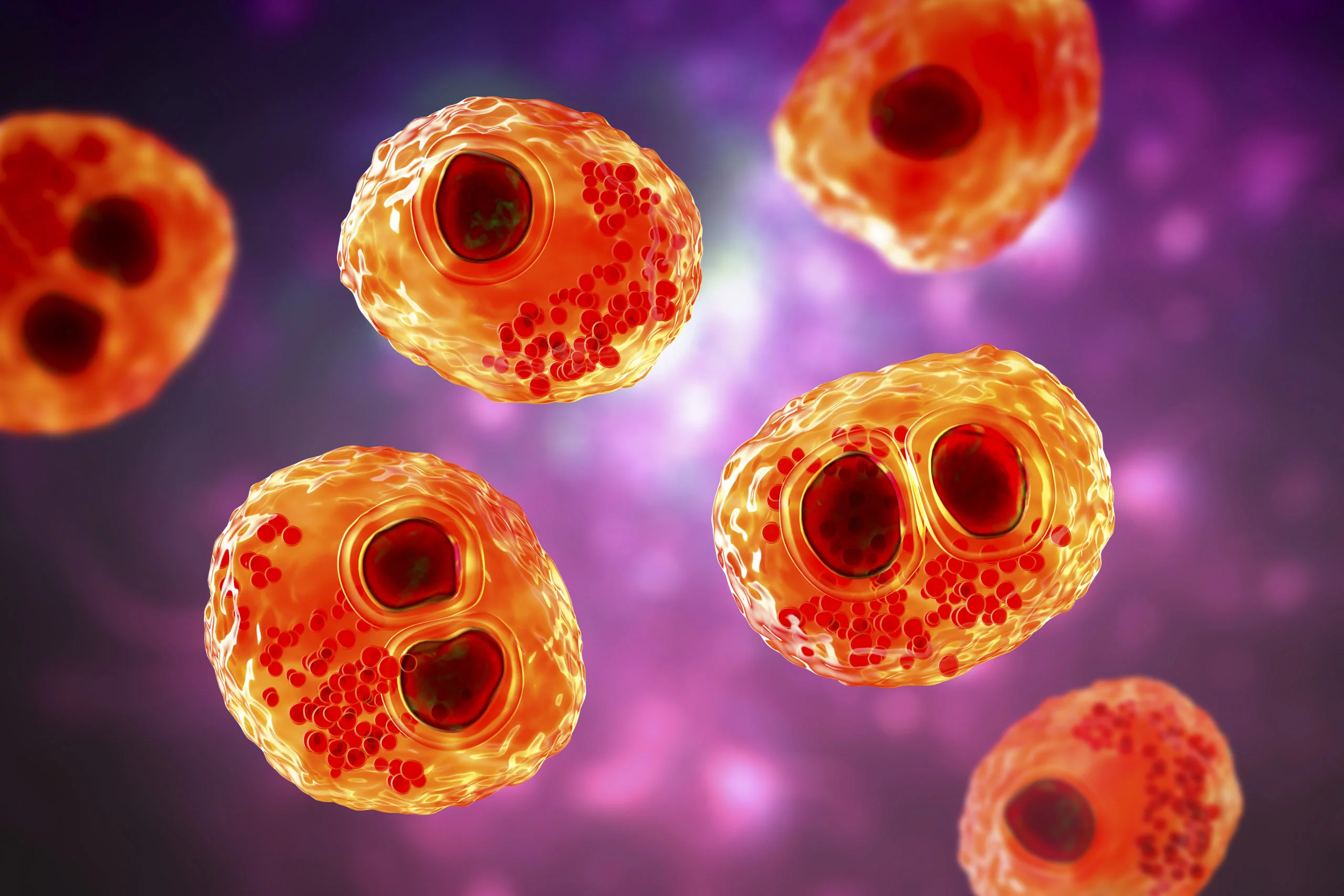 Un nouveau guide du KCE pour harmoniser la prise en charge du CMV pendant la grossesse