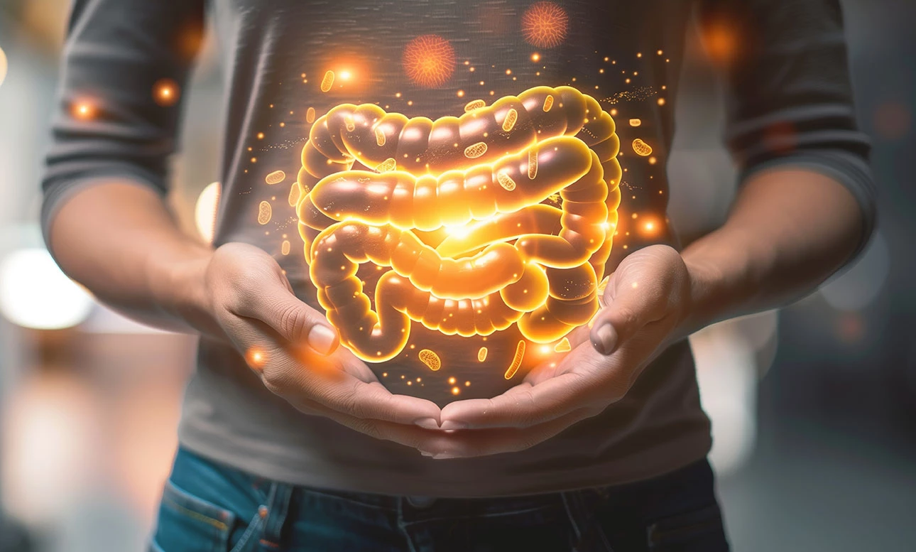 Axe intestin-cerveau : un circuit de détection des acides aminés essentiels module les préférences alimentaires