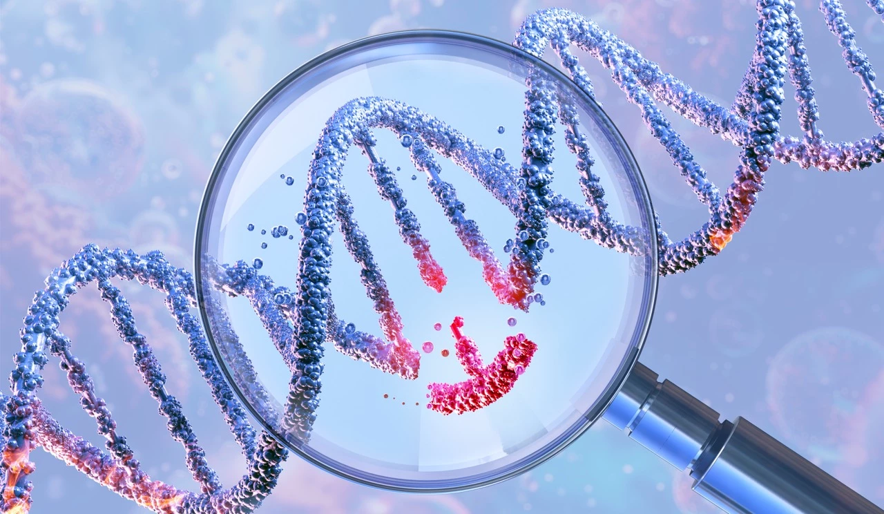 Une thérapie génique entre en piste dans le diabète de type 1