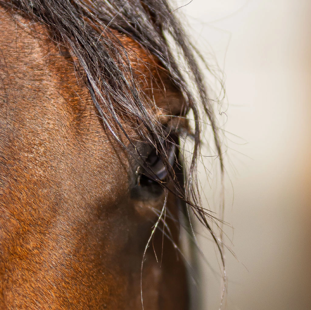 Nicolas Danneau - <p class="p1">« Un arrêt du temps, au bon moment »</p>