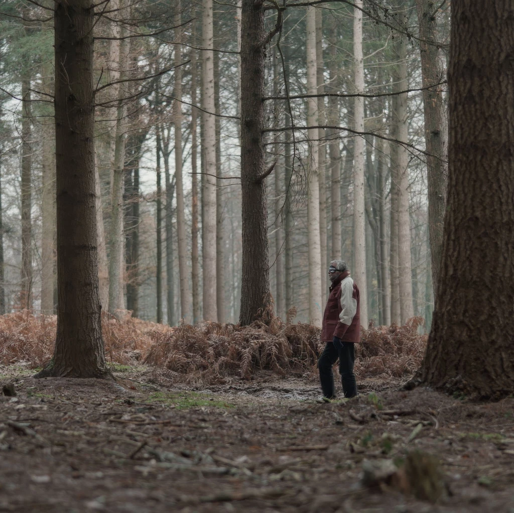 La Sagesse de nos Arbres,  de Thierry Dory