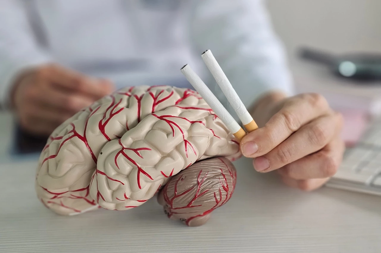 Tabagisme et Parkinson : une association observée, mais un bénéfice clair à l’arrêt