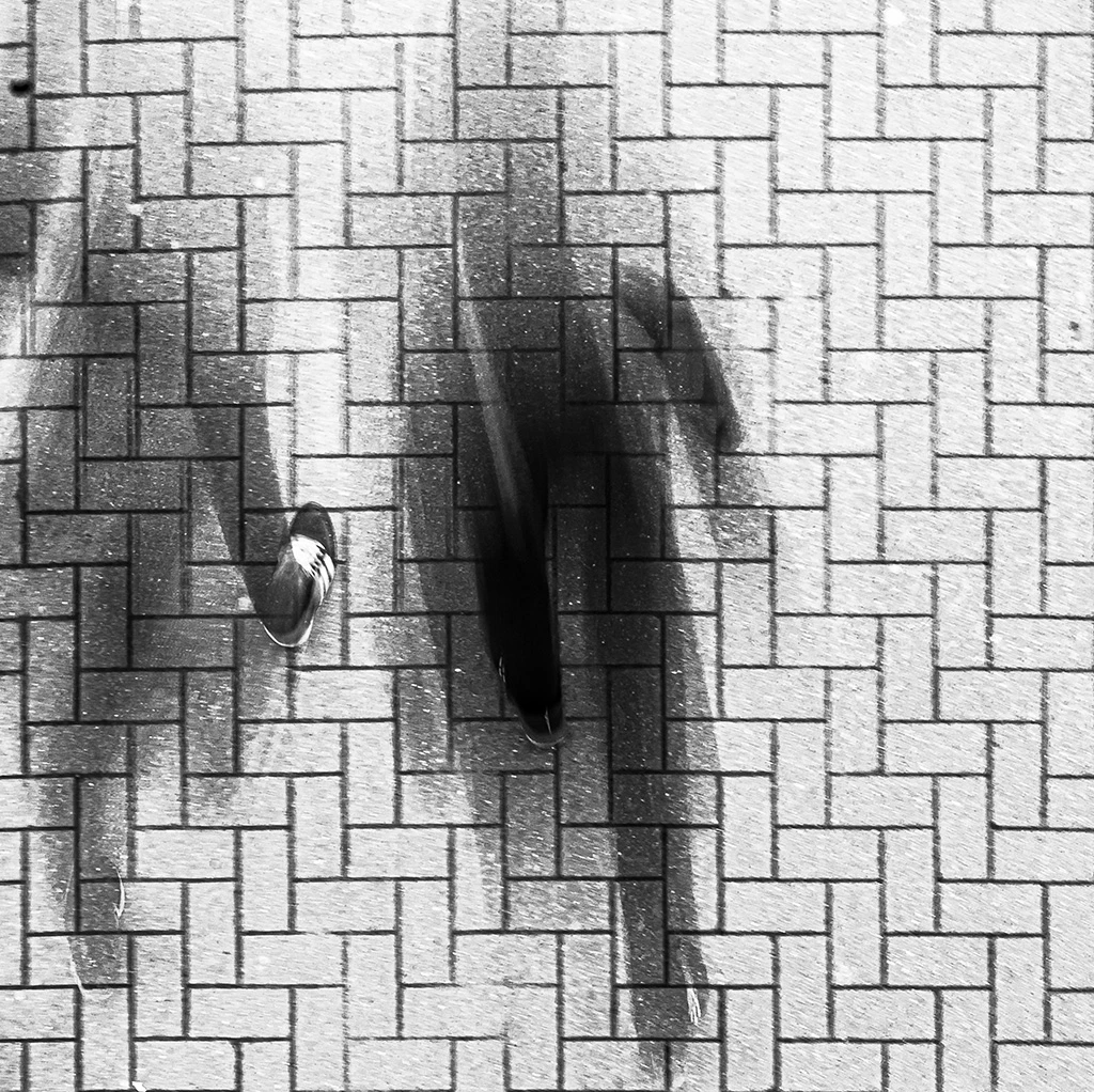 Olivier le Maire de Warzée