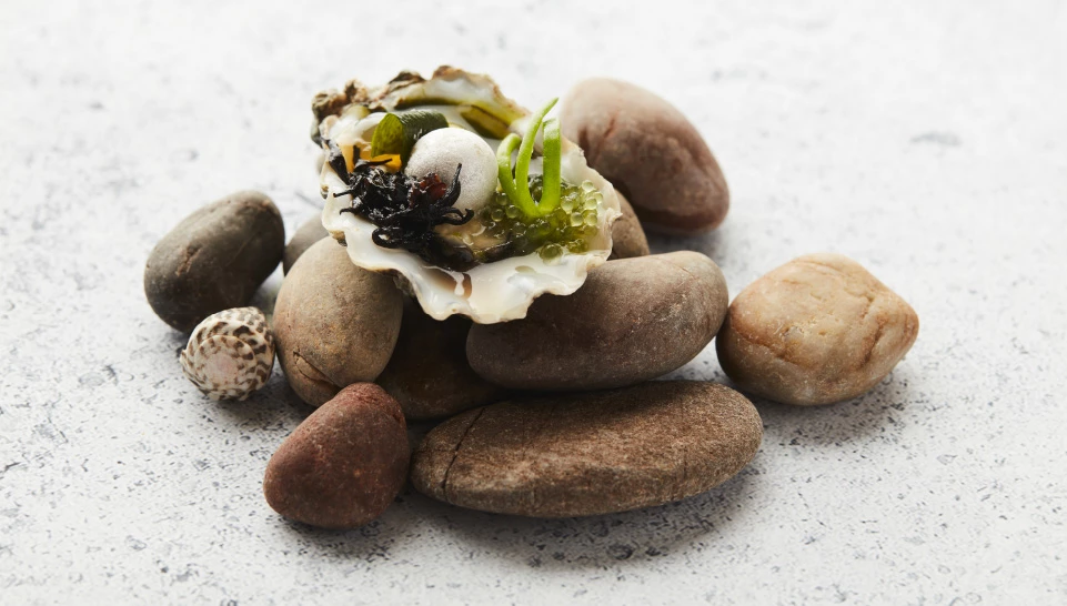 Lieven Lootens - ‘t Aards Paradijs