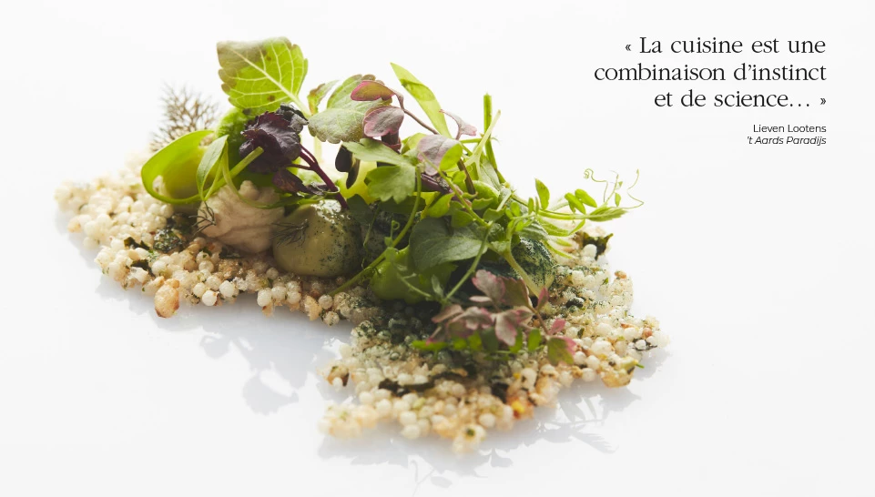 Lieven Lootens - ‘t Aards Paradijs