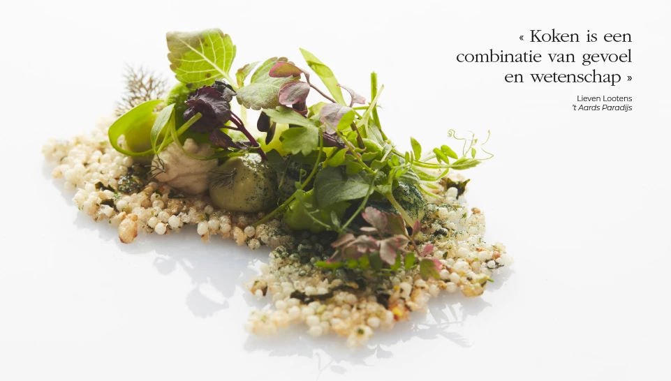 Lieven Lootens - ’t Aards Paradijs