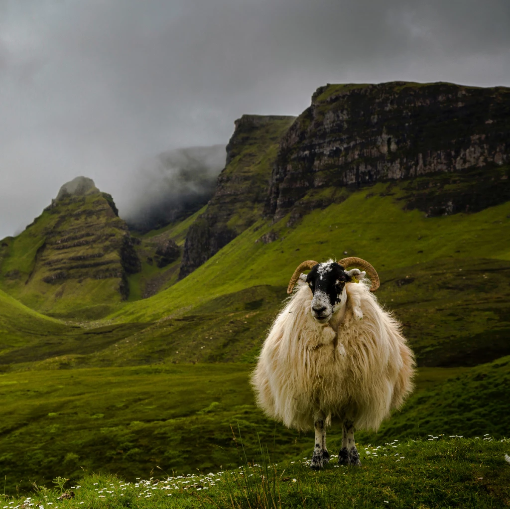 Cédric Brion - <p class="p1">J’ai besoin d’immortaliser ce que je ressens à travers mon être</p>